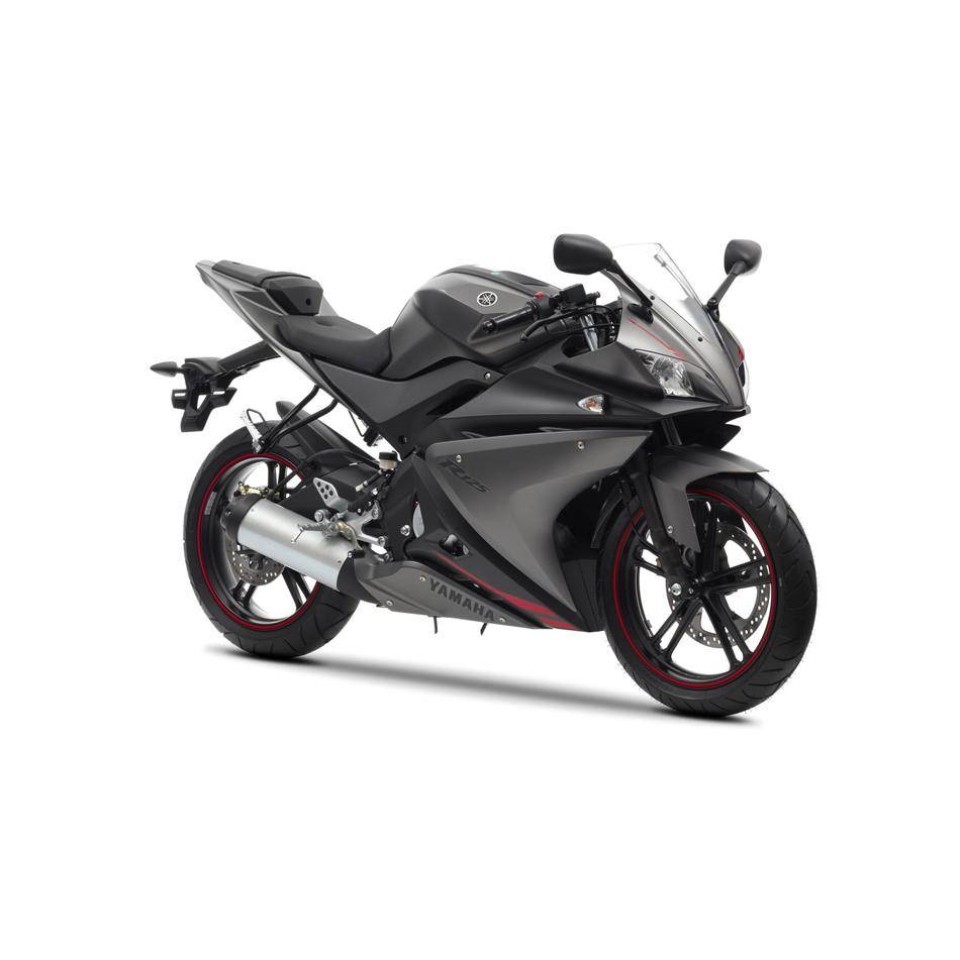Ventura VP260 Motorcycle Light Guard for Yamaha