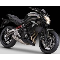 Ventura VP293 Motorcycle Light Guard for Kawasaki
