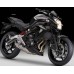 Ventura VP293 Motorcycle Light Guard for Kawasaki