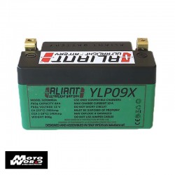 Aliant 322000024 Lithium YLP09X 12V 8AH Motorcycle Battery