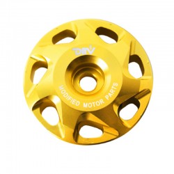 DMV Gold Frame Hole Cover