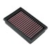 DNA PCI10S2101 Air Filter