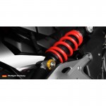 DMV DIPCKA01GD Motorcycle Pivot Cover