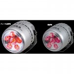 PIAA ML16R Motorcycle LED Spot Light Deno