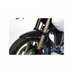 Ilmberger 8160965 Motorcycle Front Fender for BMW R1200GS
