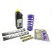 Hyperpro SP-BM06-SSC016 Motorcycle Combi Spring Kit for BMW G 650 GS SERTAO 2011-2014