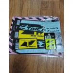 RS Taichi RSW012 T-Mark Neon Sticker