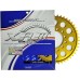 XAM A4401 520 Motorcycle Classic Sprocket for Suzuki, Kawasaki 1984-2020 -42 Teeth