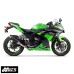 Two Brothers Racing Tarmac Series Carbon Canister Slip-On Exhaust for Kawasaki Ninja 300 2013-2015