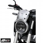Ermax 0601S91-18 Nose Screen Windshield for Honda CB125R 2018 Black