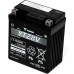 Yuasa YTZ8V Motorcycle Battery for Kawasaki,Honda,KTM,Piaggio,Suzuki,Yamaha 1988-2023